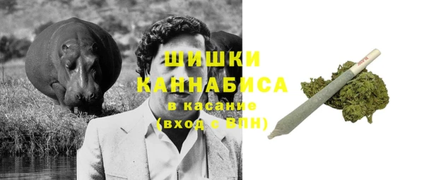 индика Наволоки