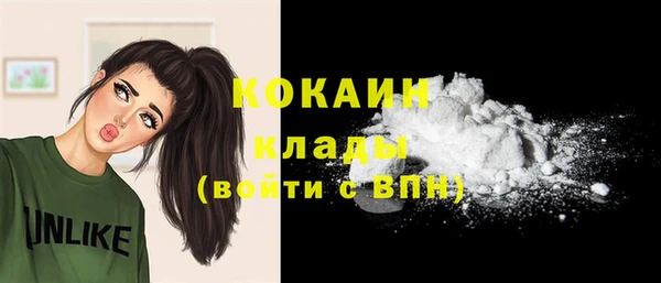 индика Наволоки