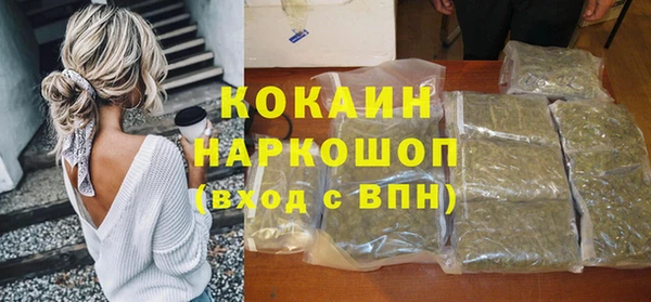 сатива Нея