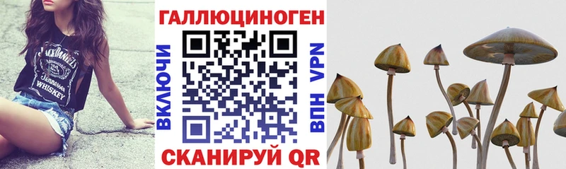 сколько стоит  Отрадный  блэк спрут зеркало  Галлюциногенные грибы GOLDEN TEACHER 