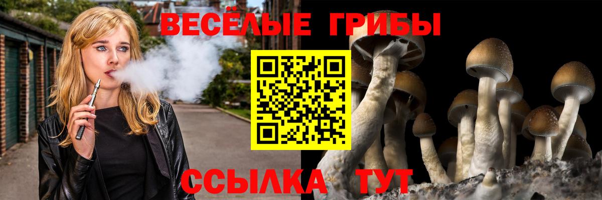 Галлюциногенные грибы GOLDEN TEACHER  Галлюциногенные грибы Psilocybe  Отрадный  Вход с VPN 